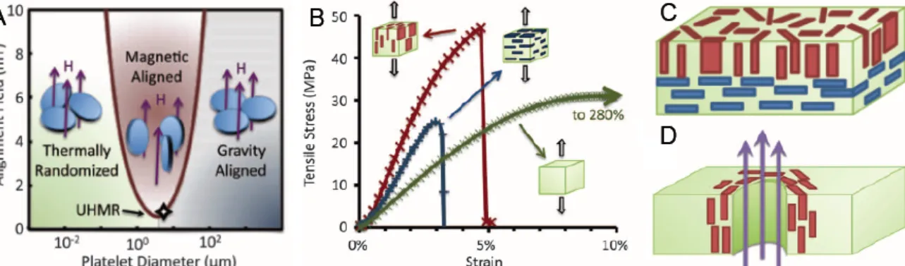 Figure  18.  Alignment  of  inorganic  platelets  using  a  magnetic  field. 43   (A)  Relation  between  the  platelet  size  and  the  magnetic  field  needed  for  alignment