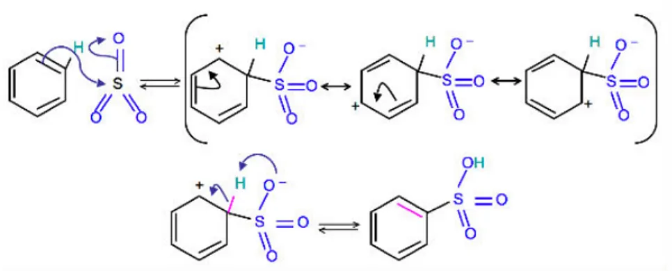 Figure 11 : Sulfonation des matériaux carbonés en présence du trioxyde de soufre SO 3