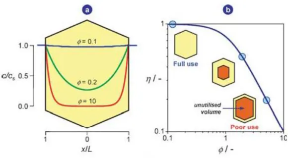 Figure I.4. Concentration profiles across a zeolite crystal (slab geometry) at various values of  the Thiele modulus, ϕ (a)