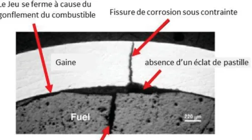 Figure 3 : Fissuration par corrosion sous contrainte dans une gaine de combustible due à  l’IPG [9]