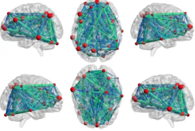 Figure 4. Full view of the brain with the 34 regions represented as nodes, and the white matter tracks represented as edges, obtained using [35].