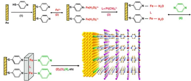 Figure 32: Schematic procedure of the layer by layer assembly approach of Fe(pz)[Pt(CN) 4 ] thin films
