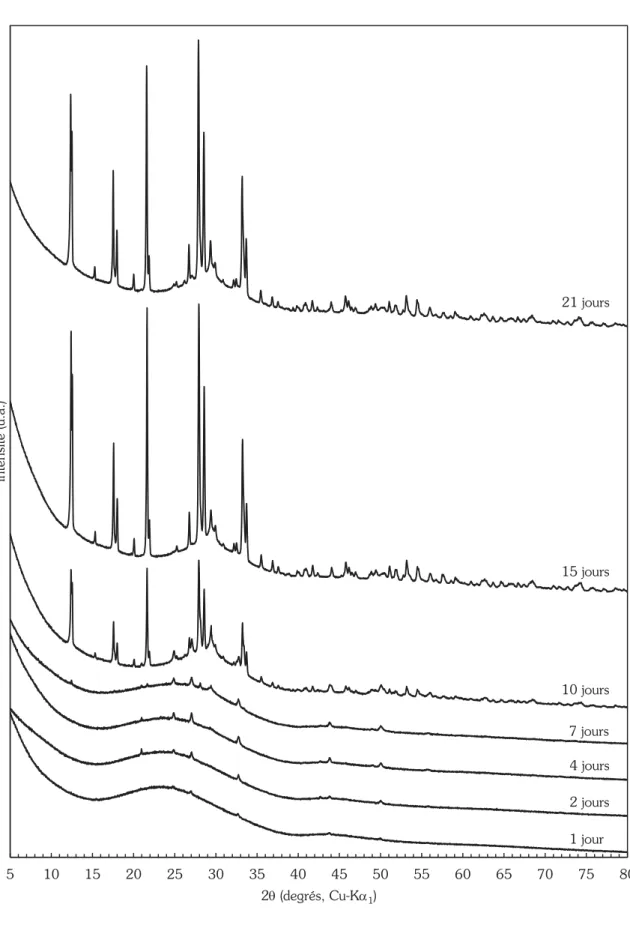 Figure 3.15 — Diffractogrammes de rayons X illustrant l’évolution de la cristallinité du système au cours du temps