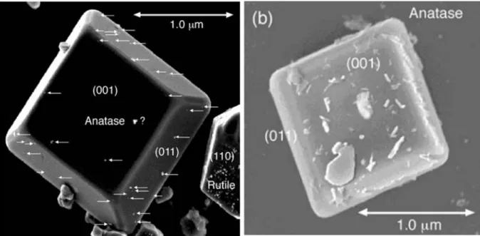 Figure  23  :  Exemples  de  photo-dépôts  sélectifs  de  nanoparticules  de  Pt  (à  gauche)  et  d'oxyde  de  plomb  PbO 2  (à droite) sur des cristaux d’anatase
