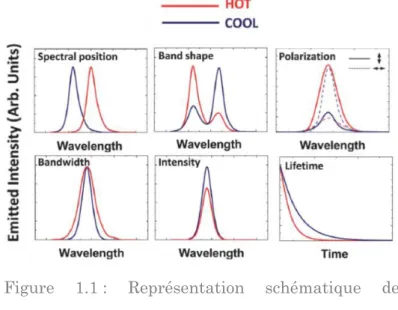 Figure  1.1 :  Représentation  schématique  des  variations de propriétés de luminescence en fonction  de la température, issu de Jaque &amp; Vetrone 6 