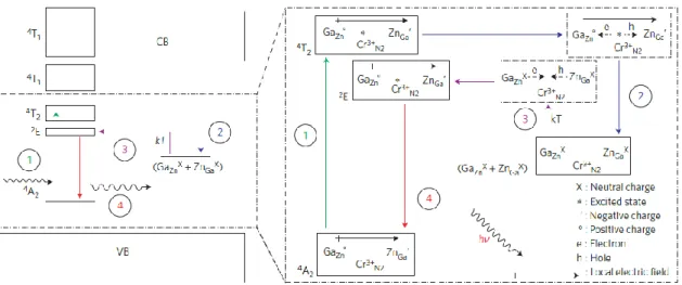 Figure  2.3 :  Représentation  schématique  du  mécanisme  de  luminescence  persistante dans le composé ZnGa 2 O 4 :Cr 3+  proposée par Maldiney et al