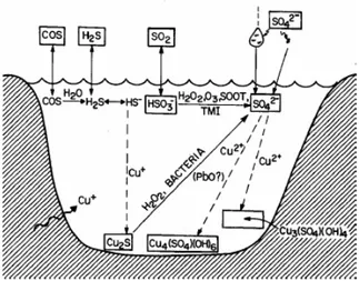 Figure 9: Représentation schématique du processus de corrosion par les sulfate formant la brochantite [44]