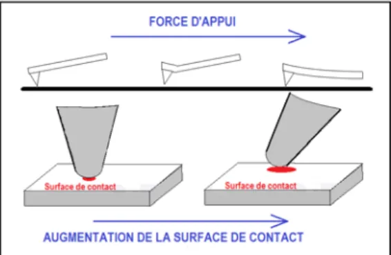 Figure 45 : Schéma de la relation entre force d’appui et surface de contact. 