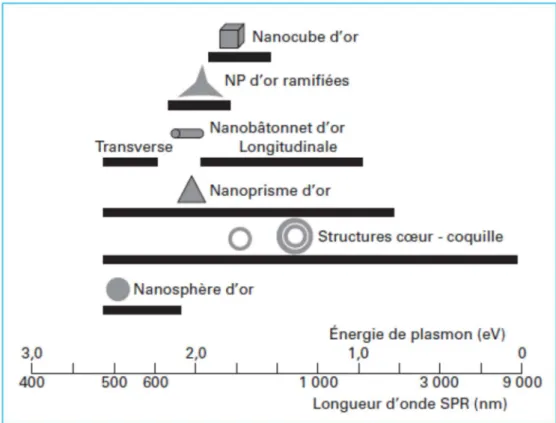 Figure 3 : Longueur d’onde centrale du plasmon de surface localisé pour différentes géométries des  nanoparticules d’or  (18)