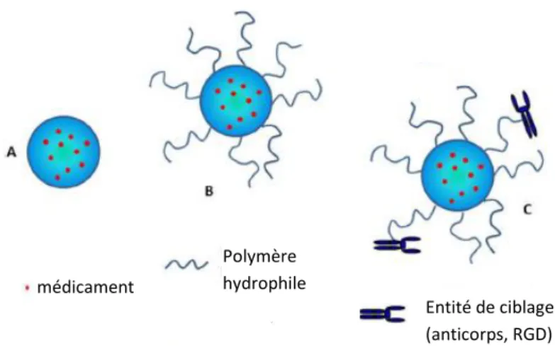Figure 4 : Différentes générations de nanoparticules de polymères : A) première génération, B) deuxième génération, C)  troisième génération  3