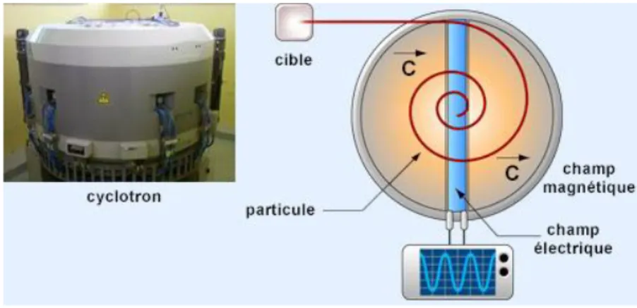Figure 2 : Schéma de principe d'un cyclotron. 