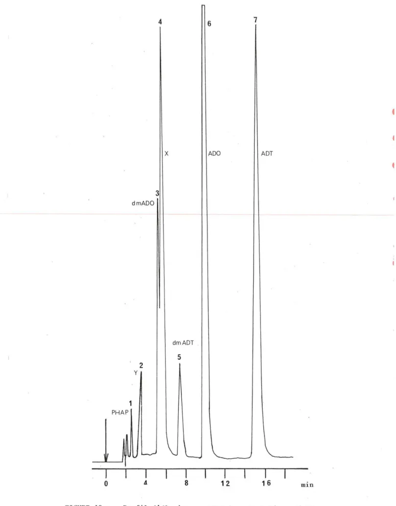 FIGURE  19  :  Profil  d ' élution  e n  CLHP  des  mé tabolites  d ' ADT  obtenus  par  synthèse  c h imique