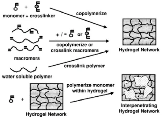 Figure 1-8  : Schéma représentant la formation d’hydrogels chimiques, par polymérisation ou réticulation de  polymère hydrosoluble 67 .