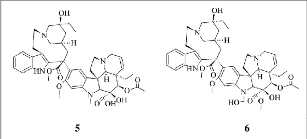 Figure 10. Structure chimique de la vinblastine (5) et de la vincristine (6) isolées à partir de  Catharanthus roseus 139 
