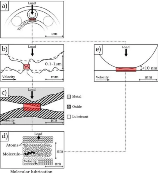 Figure I-4: Multi-scale nature of a lubricated contact problem with film thickness reduction: 