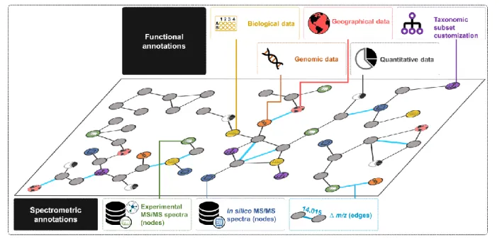 Fig. 1 Examples of multiple sources of data for the annotation of a molecular network