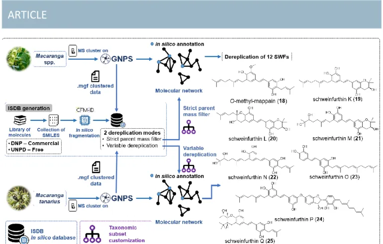 Fig. 5 ISDB-based dereplicative pipeline and structure of O-methyl-mappain (18) and SWFs K-Q (19-25)