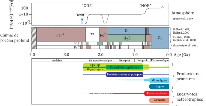 Figure I.1 Evolution temporelle de la concentration atmosphérique en O 2  (Lyons et al., 2009) ,  de la chimie des  océans (Holland, 1984, 2006; Canfield, 1998; Canfield et al., 2008; Planavsky et al., 2011) et du vivant (Johnston  et al., 2009)