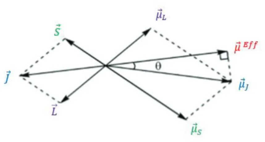Figure I.16 : Représentation schématique des moments angulaires ܵԦ, ܮ ሬሬሬԦ et ܬԦ, et des moments magnétiques  associés 