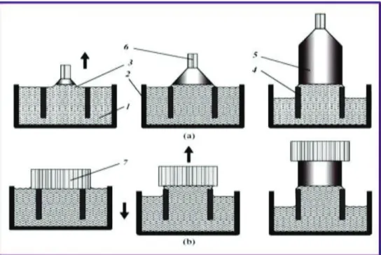 Figure 21: Les étapes de tirage des cristaux par la méthode NCS avec différentes formes de  germes: 