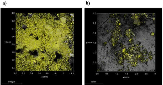 Figure 2.11: SHG microscopy on conglomerate a) and racemic compound b) of imeglimin propionate 