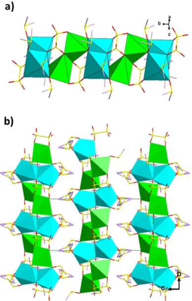 Figure II-10 : Projection of Na 2 S 2 O 6 ·3(C 2 H 6 SO) crystal structure (a) along [101] and (b) and along  [100]