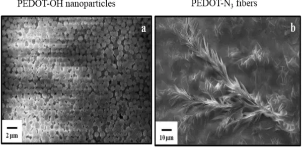 Figure 3.12 SEM images of PEDOT polymers after deposition onto gold substrates. Polymers were obtained after a  70 kGy-irradiation: (a) in the absence of NaN 3  (PEDOT-OH), (b) in the presence of NaN 3  (PEDOT-N 3 )