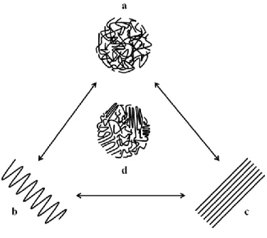 Figure  3.13  Schematic  drawing  of  the  different  macro-conformations  in  solid  linear  polymers