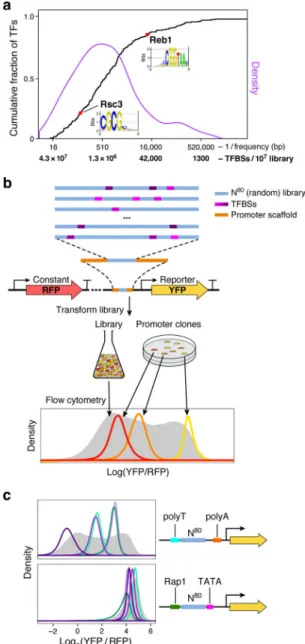 Figure 1. GPRA.