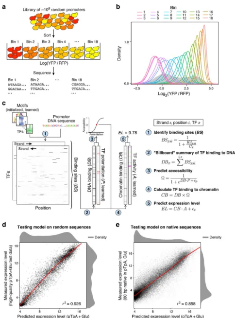Figure 2. Expression models learned from a GPRA of 10 8  random promoters are highly  predictive.