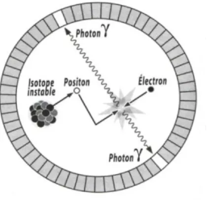 Figure 4. Détection de photons en coïncidence après annihilation d’un positon. 1