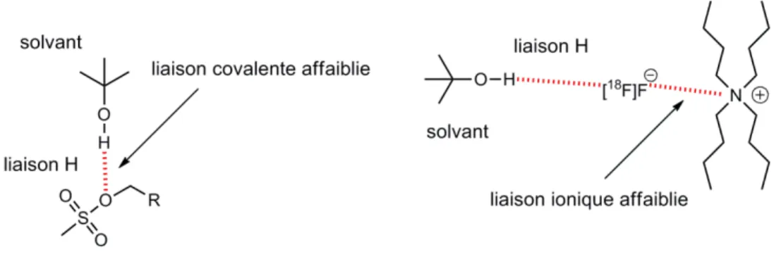 Figure 8. Effet d’assistance du  t BuOH dans la substitution nucléophile. 
