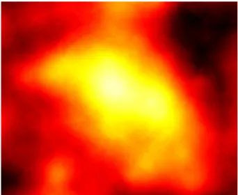 FIG. 1: Map of the sky surrounding the recently discovered dwarf galaxy Reticulum II. The brightness indicates a possible excess of gamma rays coming from the direction of the galaxy compared to the background