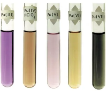Figure 3 : Coloration de solutions en fonction du degré d’oxydation du plutonium [47] 
