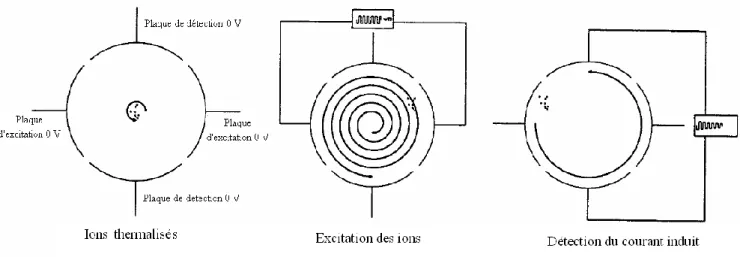 Figure  11  :  Représentation  schématique  de  l’excitation  et  de  la  mesure  des  ions  dans  une  cellule  ICR,  d’après [131] 