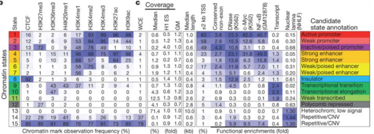 Figure 5: Systematic unbiased annotation of the human genome using epigenomic marks. 