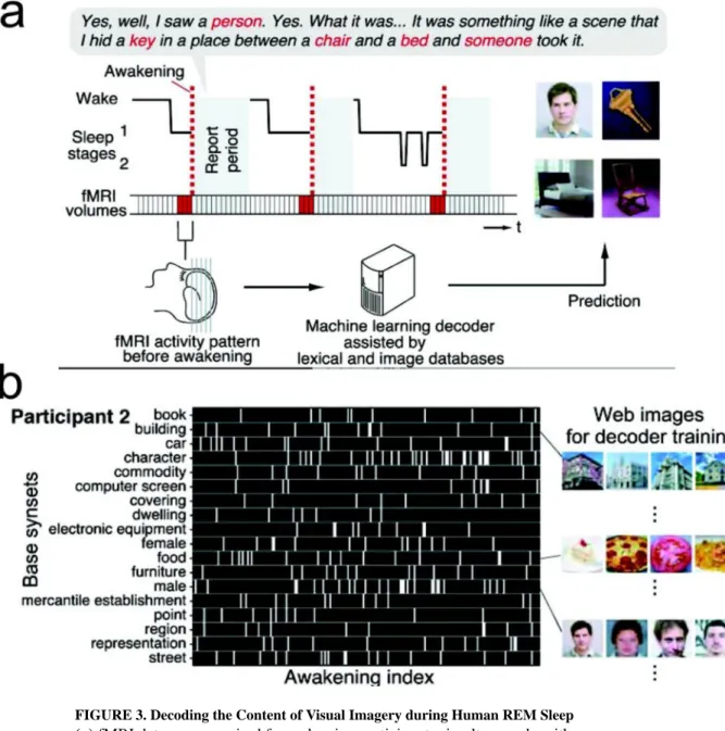 FIGURE 3. Decoding the Content of Visual Imagery during Human REM Sleep (a) fMRI data were acquired from sleeping participants simultaneously with 
