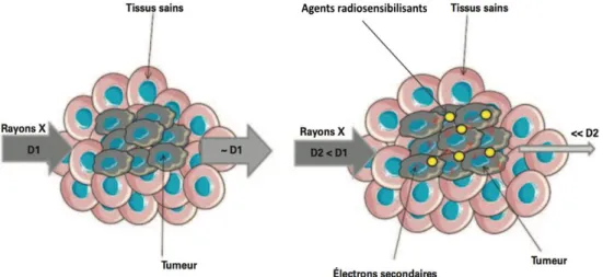 Figure 6 : Principe de l’utilisation d’agents radiosensibilisants pour la radiothérapie [60]