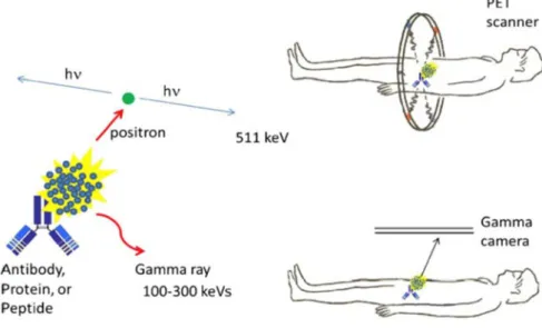 Figure I-5: Scheme illustrating the principles imaging based on PET and SPECT[13]. 