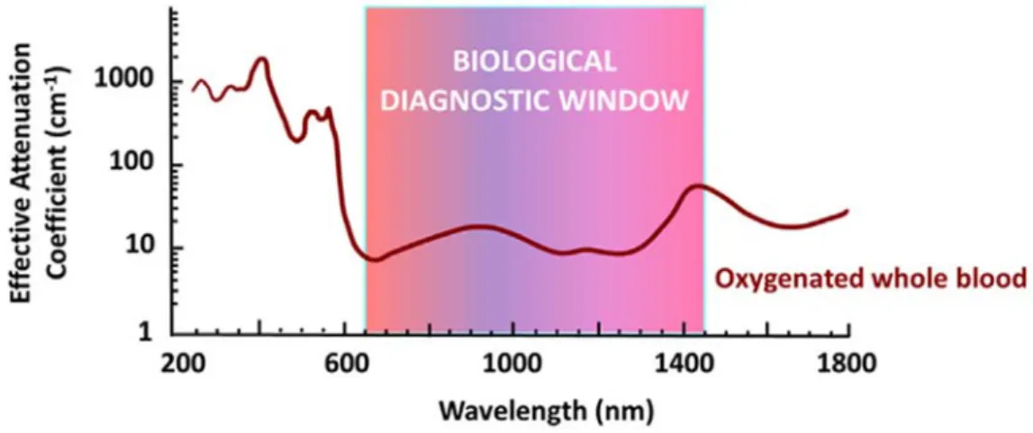 Figure I-7: Absorption spectrum of the oxygenated whole blood and the biological diagnostic  window defined from 650–1450 nm