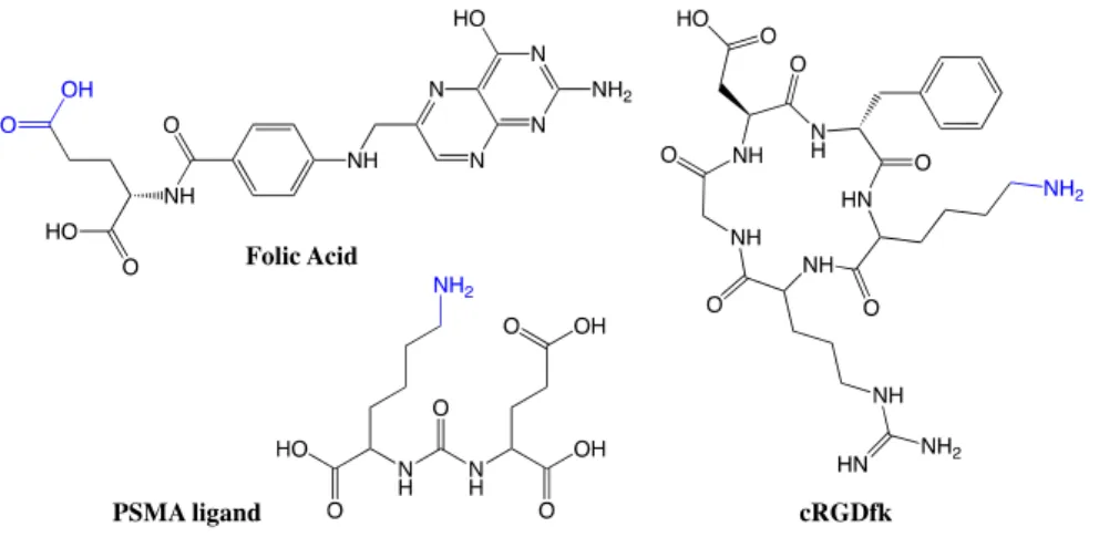 Figure I-9: Commonly used targeting ligands in targeted cancer therapeutics and diagnostics  (Blue is the site of conjugation)