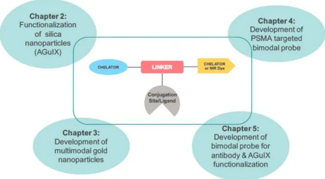 Figure I-11: Application of the monomolecular multimodal platform towards development of  theranostics