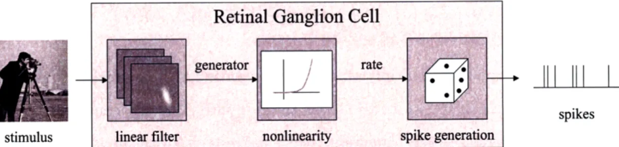 Figure  3-2:  Linear-nonlinear  Poisson  model.  The  LNP  model  depicts  how  a  visual stimulus  is  transformed  by  the  retina  into  a  spike  response