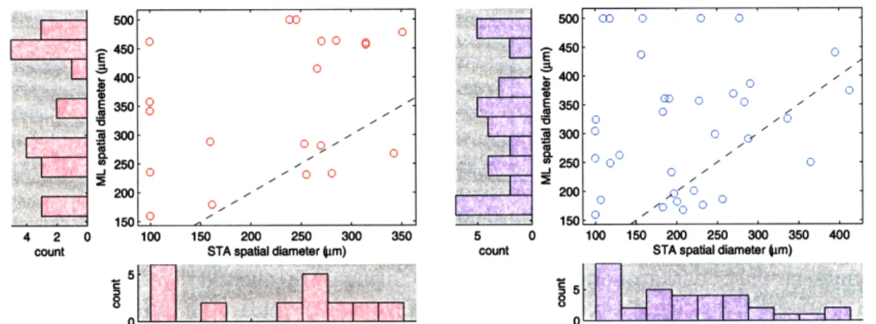 Figure  4-1:  Correlation  of  RF  diameters  from  STA  and  ML.  Data  is  shown  using 21  ON  cells  (left)  and  34  OFF  cells  (right)  from  the  three  retina