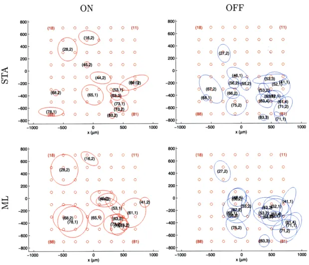 Figure  4-2:  RF  maps  from  STA  and  ML.  Spatial  RF  locations  for  ON  RGCs  and OFF  RGCs  simultaneously  recorded  in  retinal  piece  B