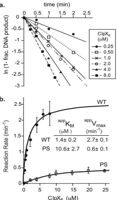 FIGURE 3. Mutation of P 623 S 624  leads to a 10-fold reduced apparent affinity between ClpX and  transpososomes