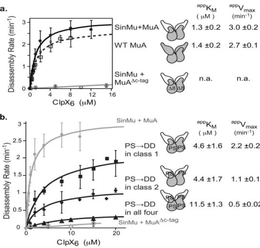 FIGURE 6. Efficient complex disassembly requires E-tags on both class-1 and class-2 subunits A) Chimeric complex disassembly controls