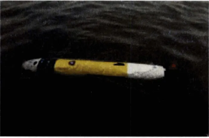Figure 2.1:  UUV  Operations in Iraq 