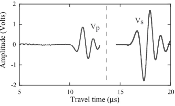 Figure 2 : Example of a P and S waveforms, using a pulse transmission technique. Compres- Compres-sional and shear transducer have 1 MHz eigen frequency.