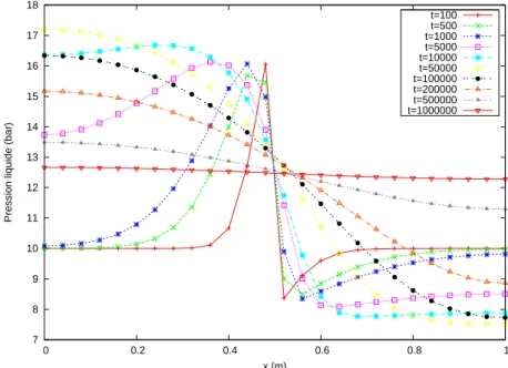 Fig. 3.3: Profils de la pression liquide pour le cas test MOMAS condition initiale hors